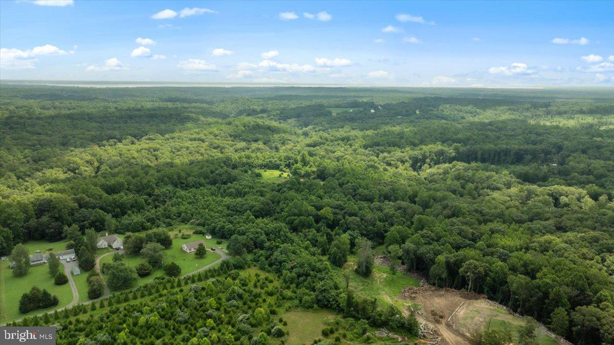 LOT E JONES PL, KING GEORGE, Virginia 22485, ,Land,For sale,LOT E JONES PL,VAKG2006738 MLS # VAKG2006738