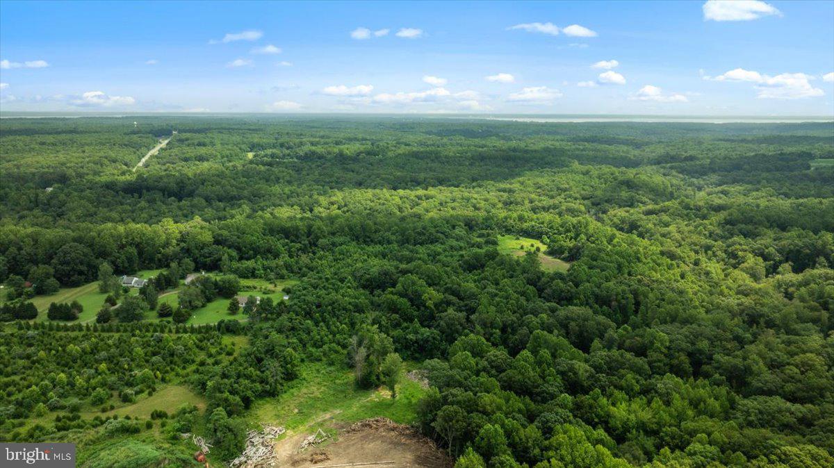 LOT E JONES PL, KING GEORGE, Virginia 22485, ,Land,For sale,LOT E JONES PL,VAKG2006738 MLS # VAKG2006738