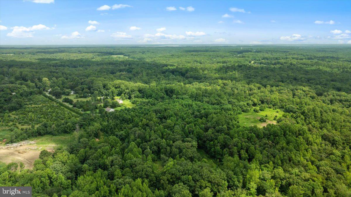 LOT E JONES PL, KING GEORGE, Virginia 22485, ,Land,For sale,LOT E JONES PL,VAKG2006738 MLS # VAKG2006738