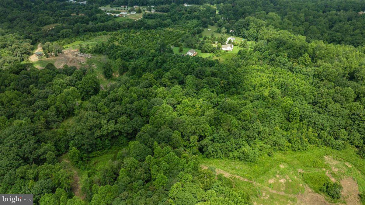 LOT F JONES PL, KING GEORGE, Virginia 22485, ,Land,For sale,LOT F JONES PL,VAKG2006744 MLS # VAKG2006744