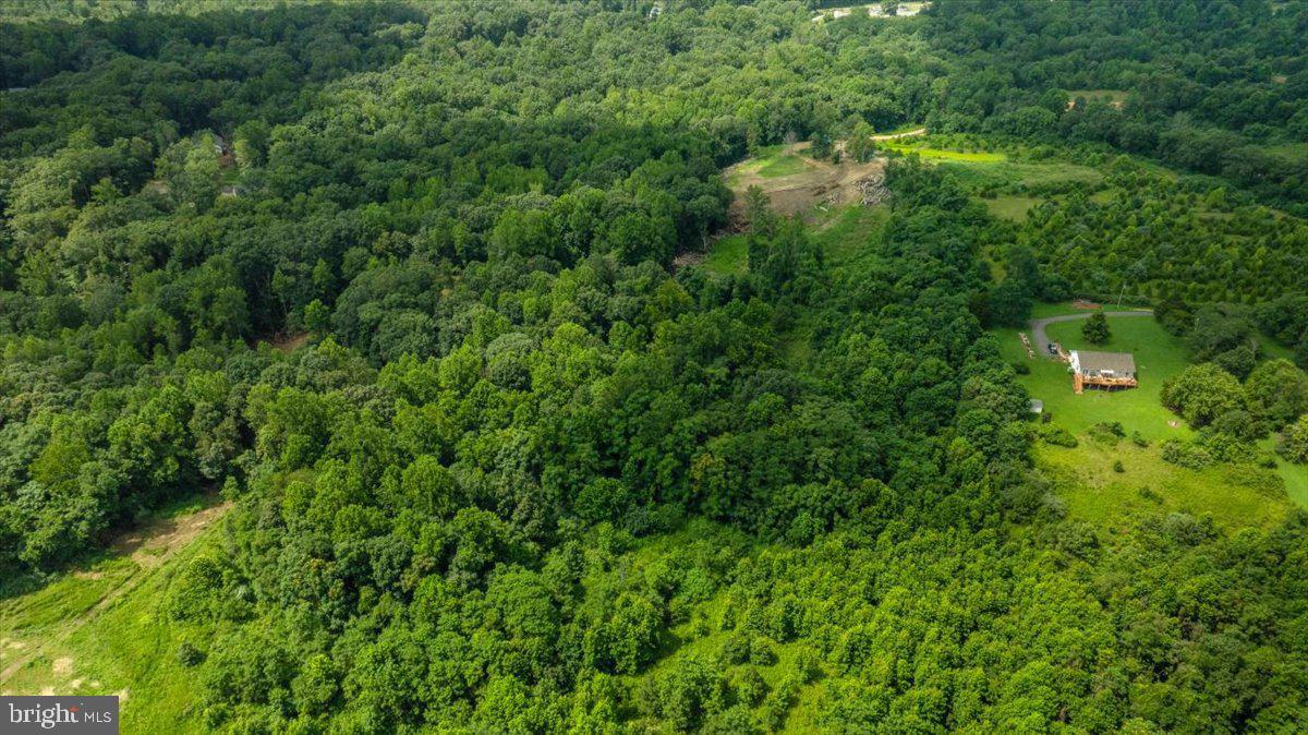 LOT F JONES PL, KING GEORGE, Virginia 22485, ,Land,For sale,LOT F JONES PL,VAKG2006744 MLS # VAKG2006744