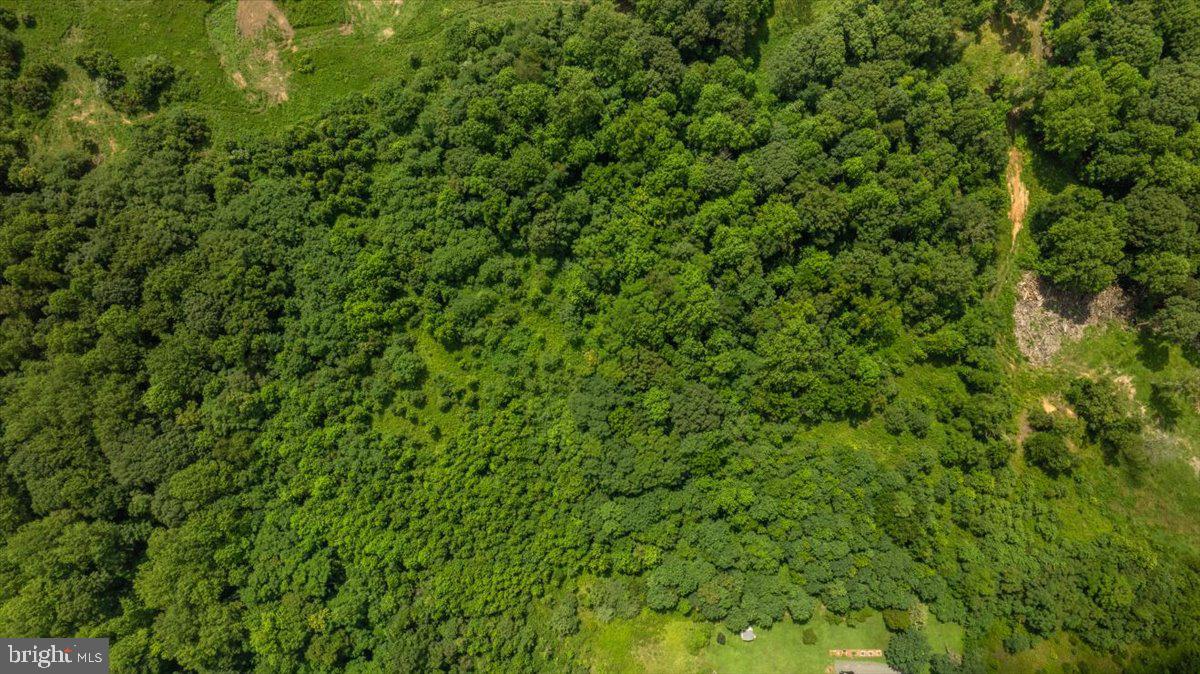 LOT F JONES PL, KING GEORGE, Virginia 22485, ,Land,For sale,LOT F JONES PL,VAKG2006744 MLS # VAKG2006744