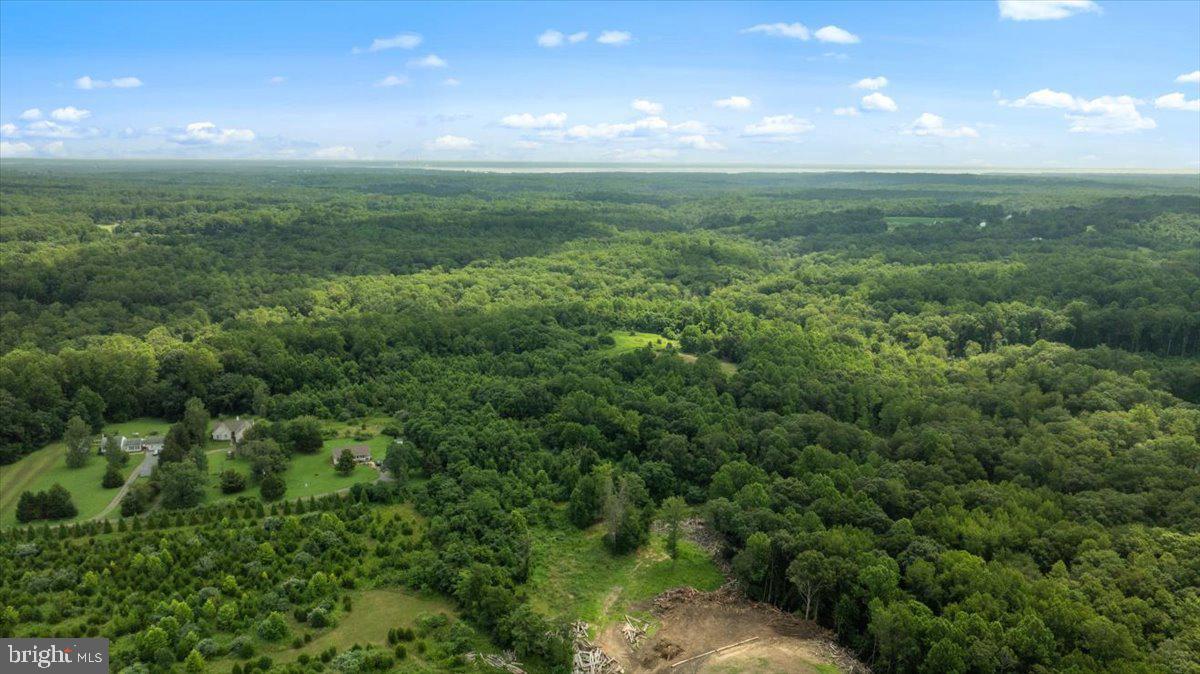 LOT F JONES PL, KING GEORGE, Virginia 22485, ,Land,For sale,LOT F JONES PL,VAKG2006744 MLS # VAKG2006744