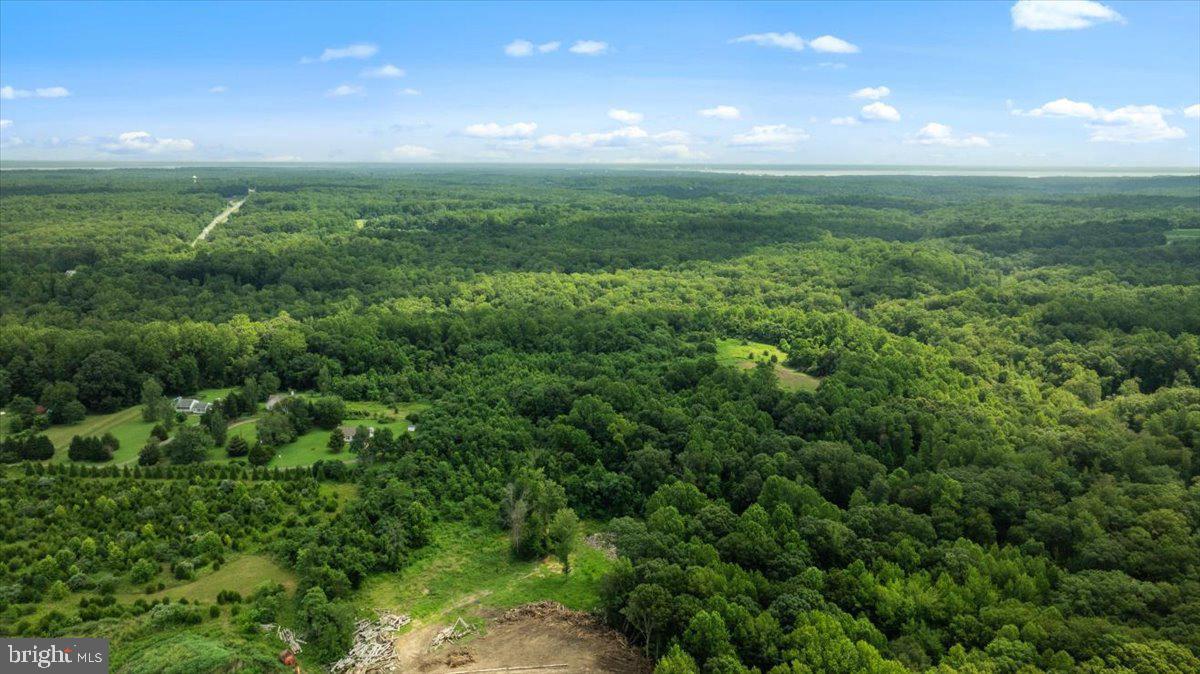 LOT F JONES PL, KING GEORGE, Virginia 22485, ,Land,For sale,LOT F JONES PL,VAKG2006744 MLS # VAKG2006744