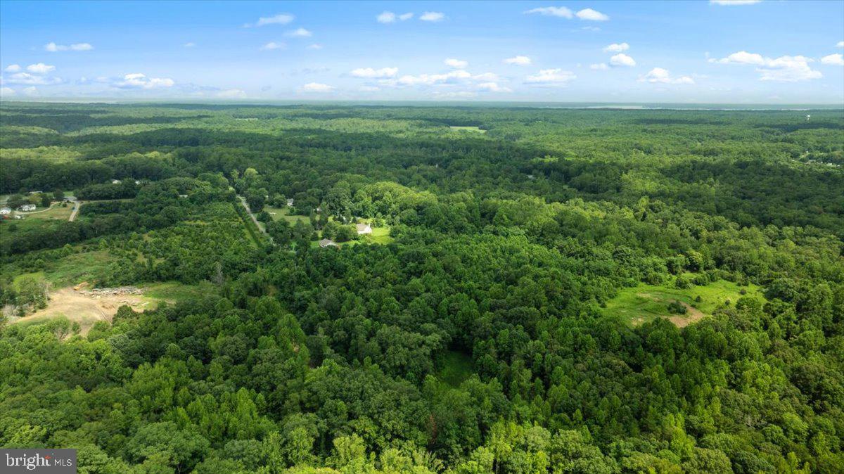 LOT F JONES PL, KING GEORGE, Virginia 22485, ,Land,For sale,LOT F JONES PL,VAKG2006744 MLS # VAKG2006744