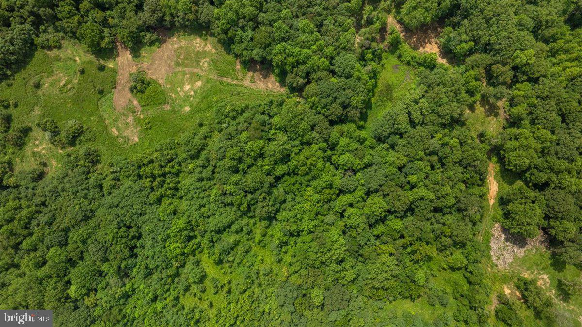 LOT G JONES PL, KING GEORGE, Virginia 22485, ,Land,For sale,LOT G JONES PL,VAKG2006746 MLS # VAKG2006746