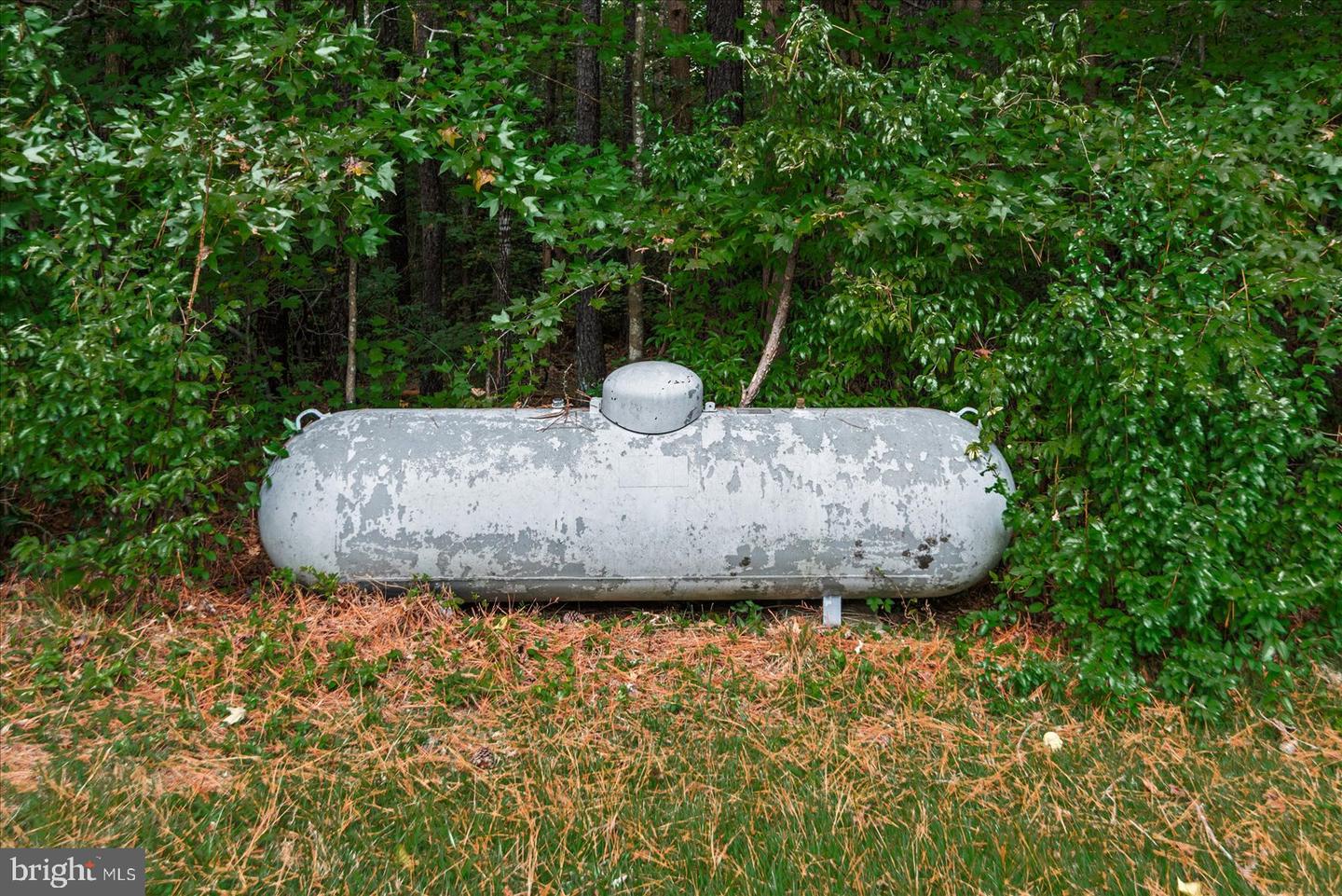 169 RED OAK LN, DUNNSVILLE, Virginia 22454, 3 Bedrooms Bedrooms, ,3 BathroomsBathrooms,Residential,For sale,169 RED OAK LN,VAES2002046 MLS # VAES2002046