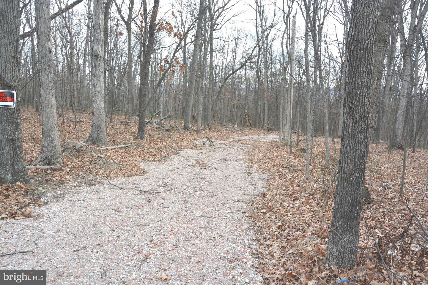 N TIMBER RIDGE RD #LOT 3 ( 54B), CROSS JUNCTION, Virginia 22625, ,Land,For sale,N TIMBER RIDGE RD #LOT 3 ( 54B),VAFV2039150 MLS # VAFV2039150