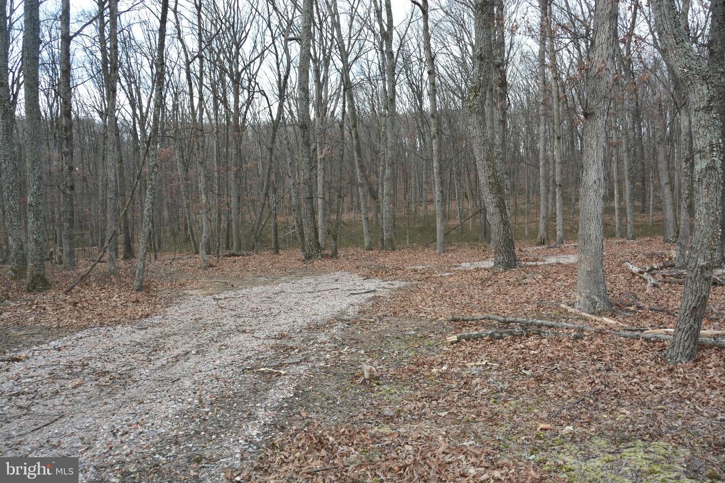 N TIMBER RIDGE RD #LOT 3 ( 54B), CROSS JUNCTION, Virginia 22625, ,Land,For sale,N TIMBER RIDGE RD #LOT 3 ( 54B),VAFV2039150 MLS # VAFV2039150