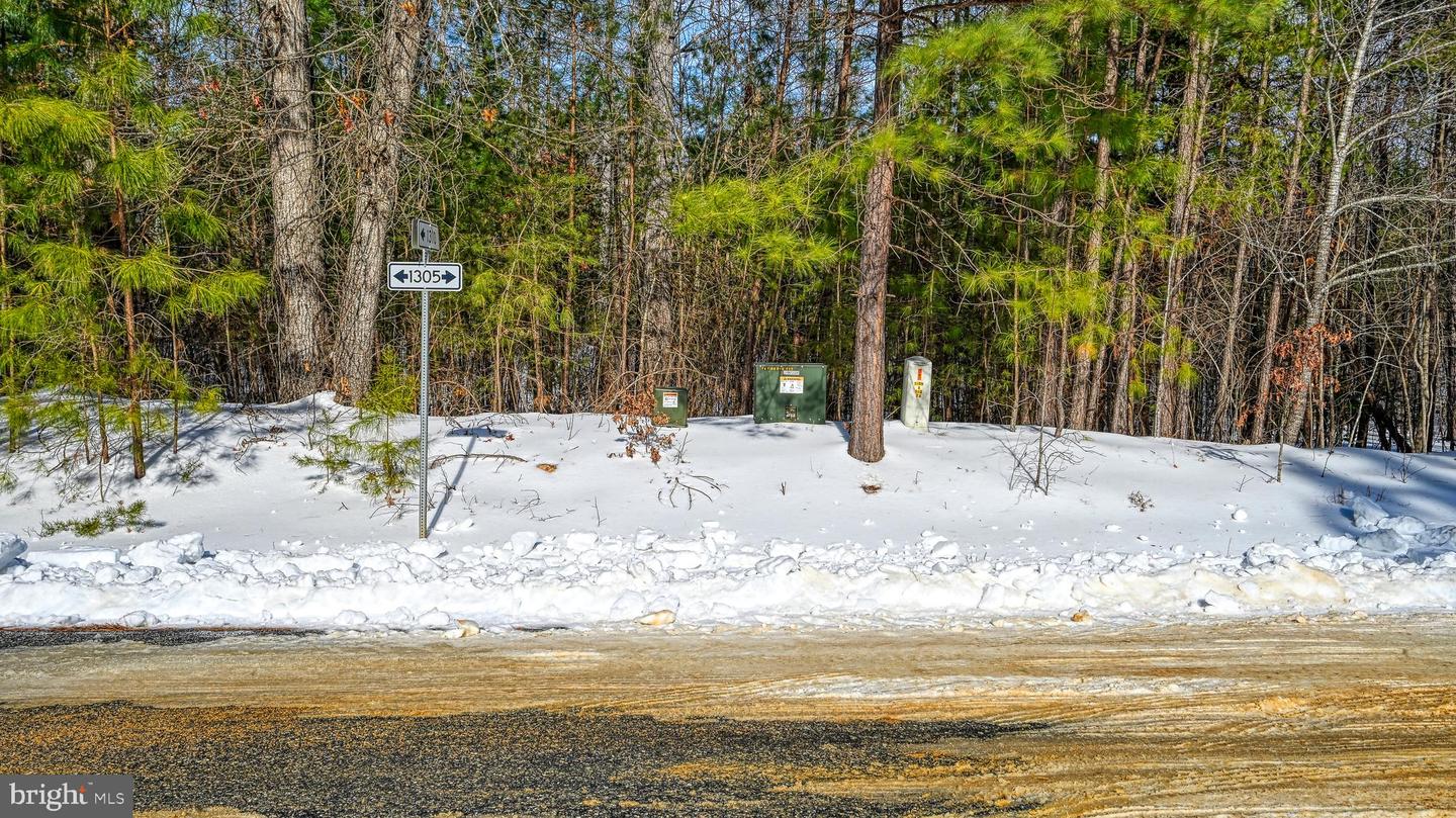 LOT 166 TRAVELLERS, MINERAL, Virginia 23117, ,Land,For sale,LOT 166 TRAVELLERS,VALA2009238 MLS # VALA2009238