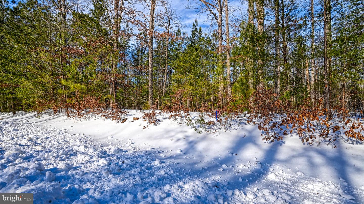 LOT 166 TRAVELLERS, MINERAL, Virginia 23117, ,Land,For sale,LOT 166 TRAVELLERS,VALA2009238 MLS # VALA2009238