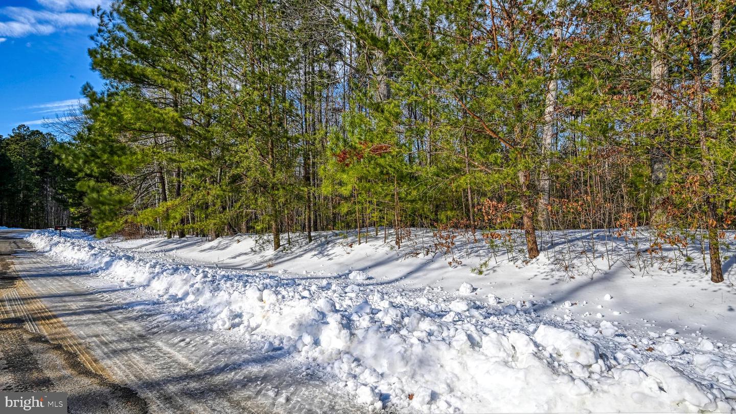 LOT 166 TRAVELLERS, MINERAL, Virginia 23117, ,Land,For sale,LOT 166 TRAVELLERS,VALA2009238 MLS # VALA2009238