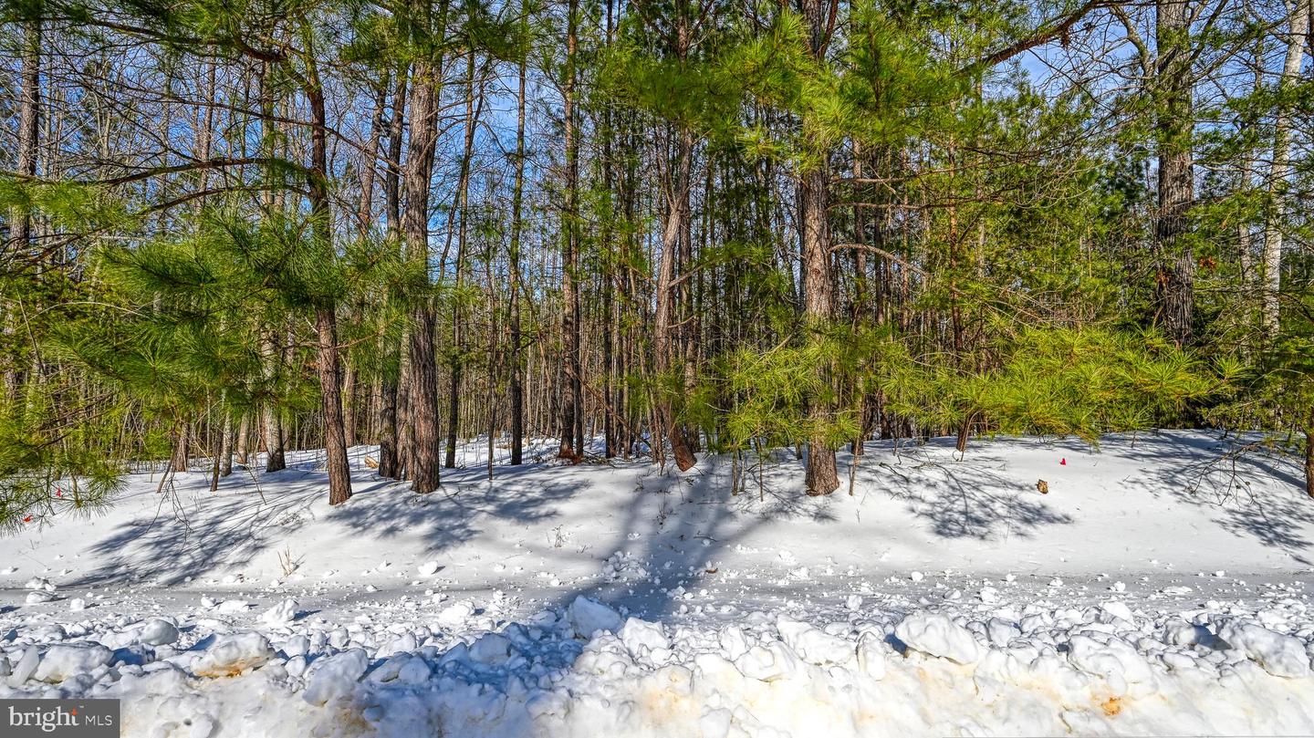 LOT 166 TRAVELLERS, MINERAL, Virginia 23117, ,Land,For sale,LOT 166 TRAVELLERS,VALA2009238 MLS # VALA2009238