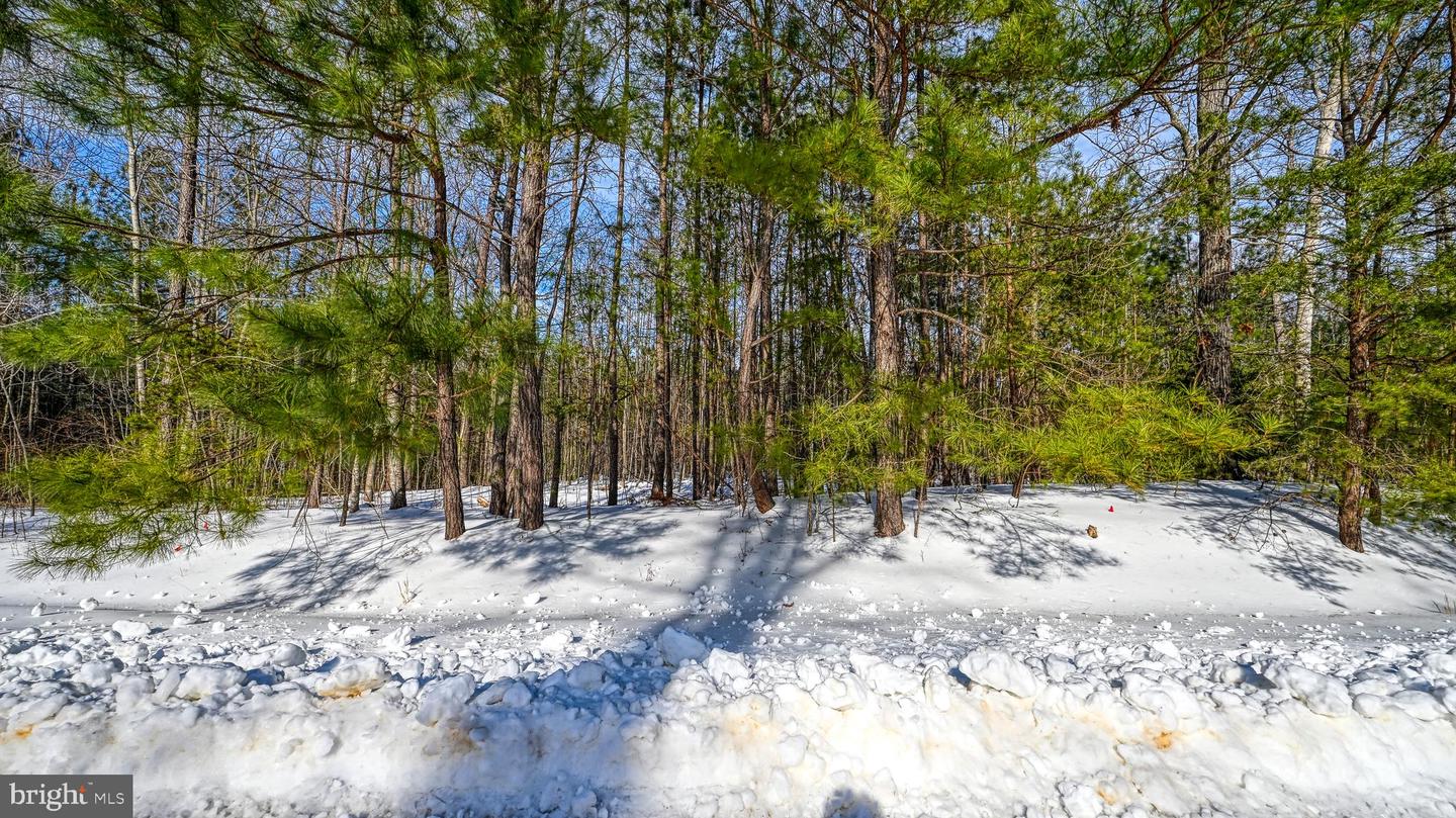 LOT 166 TRAVELLERS, MINERAL, Virginia 23117, ,Land,For sale,LOT 166 TRAVELLERS,VALA2009238 MLS # VALA2009238