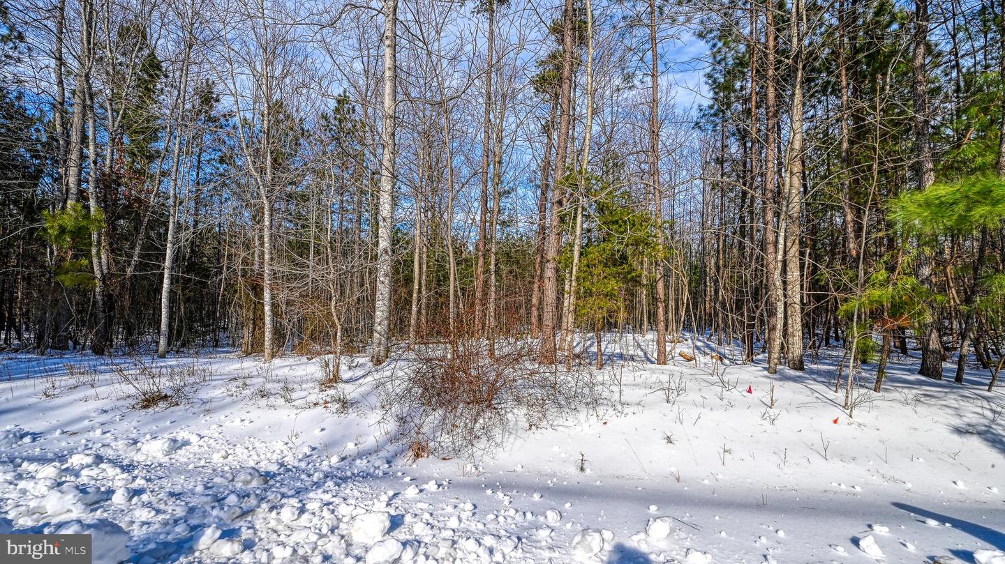 LOT 166 TRAVELLERS, MINERAL, Virginia 23117, ,Land,For sale,LOT 166 TRAVELLERS,VALA2009238 MLS # VALA2009238