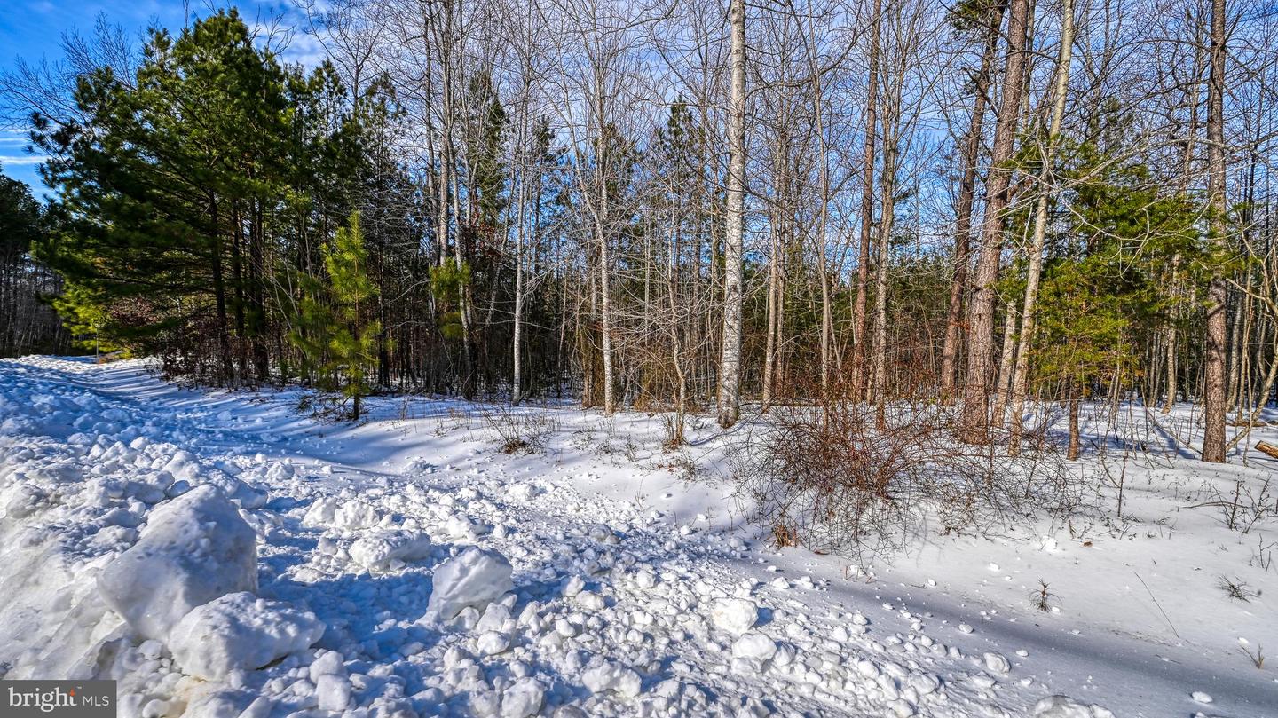 LOT 166 TRAVELLERS, MINERAL, Virginia 23117, ,Land,For sale,LOT 166 TRAVELLERS,VALA2009238 MLS # VALA2009238