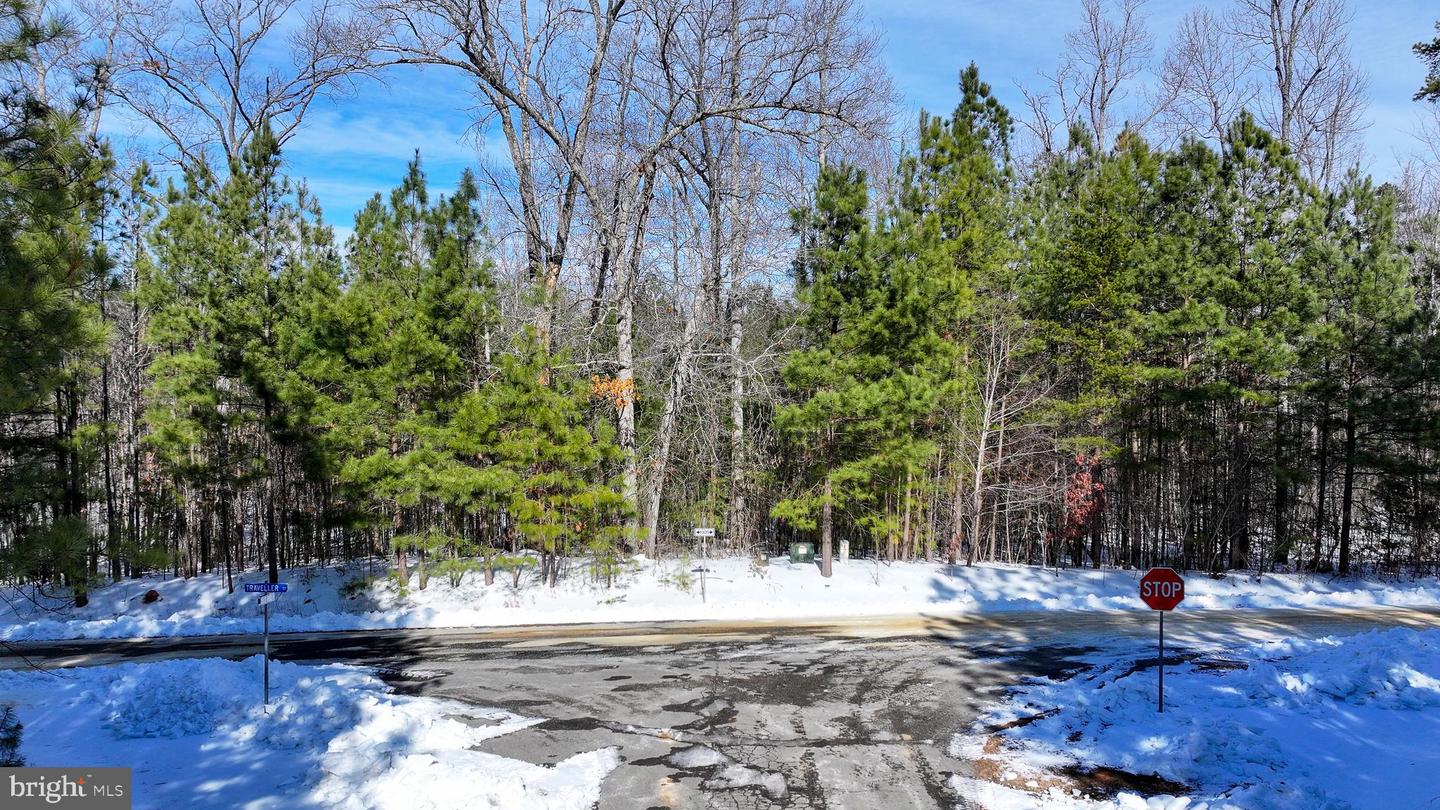 LOT 166 TRAVELLERS, MINERAL, Virginia 23117, ,Land,For sale,LOT 166 TRAVELLERS,VALA2009238 MLS # VALA2009238