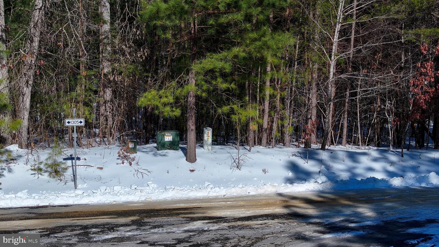 LOT 166 TRAVELLERS, MINERAL, Virginia 23117, ,Land,For sale,LOT 166 TRAVELLERS,VALA2009238 MLS # VALA2009238