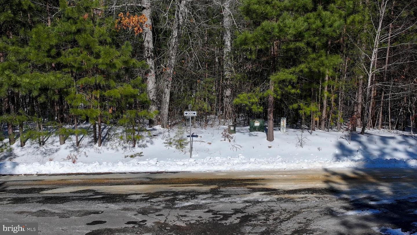 LOT 166 TRAVELLERS, MINERAL, Virginia 23117, ,Land,For sale,LOT 166 TRAVELLERS,VALA2009238 MLS # VALA2009238