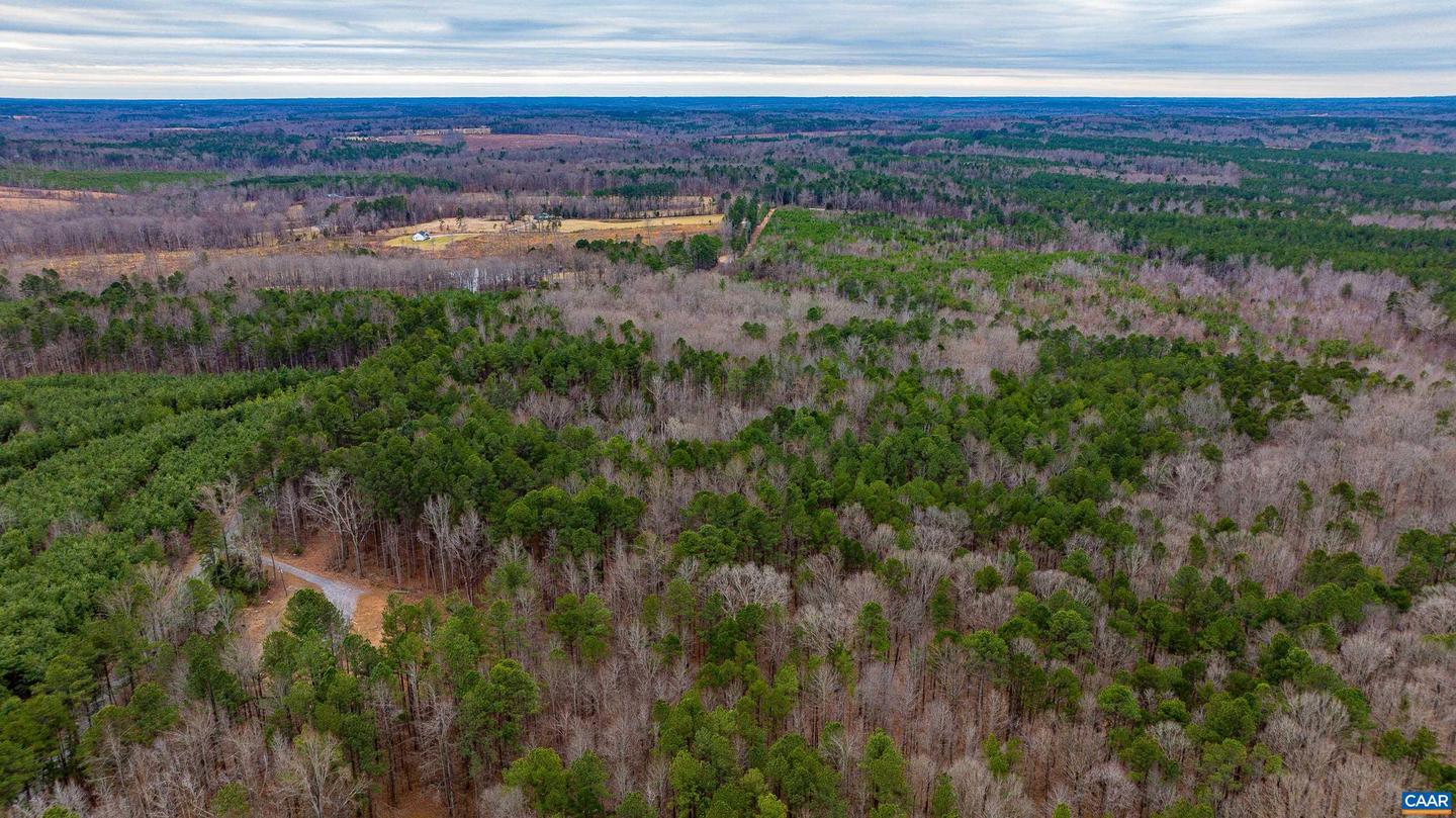 LOT 1 PINEY GREEN RD, CREWE, Virginia 23930, ,Land,For sale,LOT 1 PINEY GREEN RD,672945 MLS # 672945