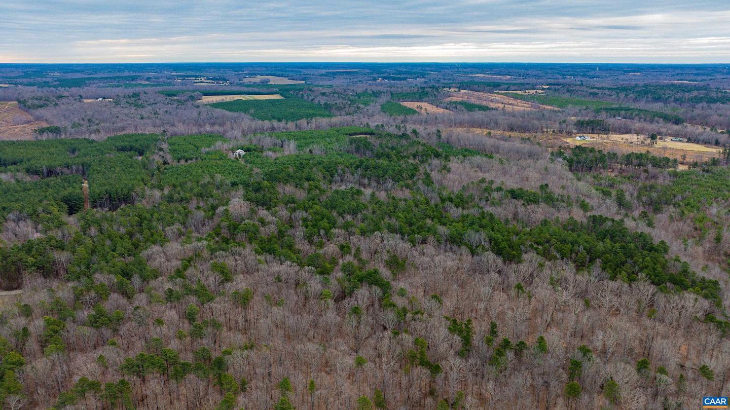 LOT 1 PINEY GREEN RD, CREWE, Virginia 23930, ,Land,For sale,LOT 1 PINEY GREEN RD,672945 MLS # 672945