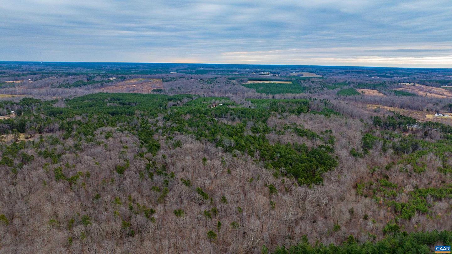 LOT 1 PINEY GREEN RD, CREWE, Virginia 23930, ,Land,For sale,LOT 1 PINEY GREEN RD,672945 MLS # 672945