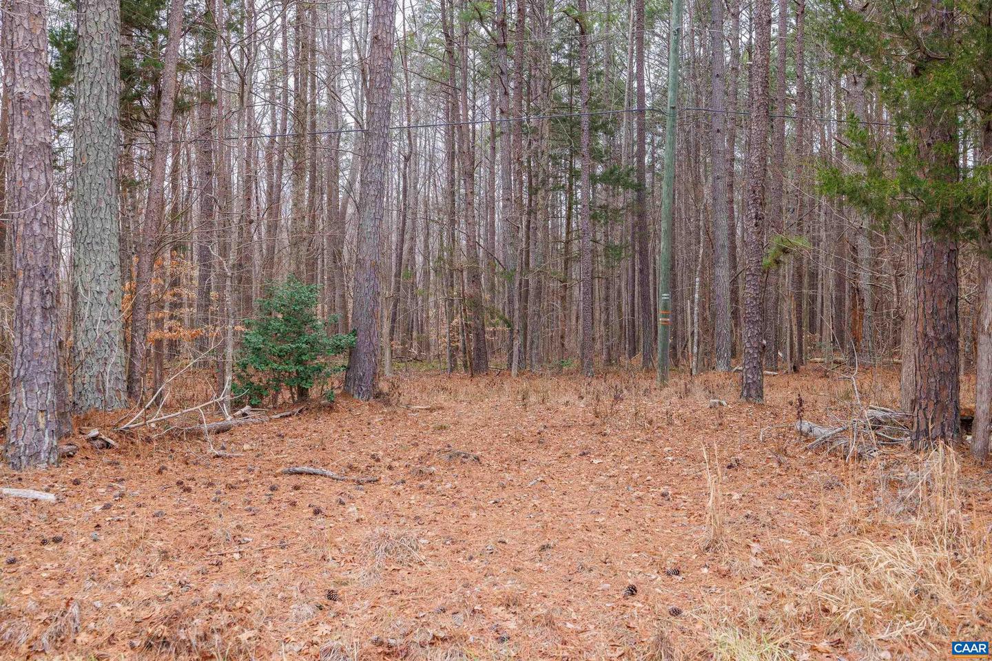 LOT 1 PINEY GREEN RD, CREWE, Virginia 23930, ,Land,For sale,LOT 1 PINEY GREEN RD,672945 MLS # 672945