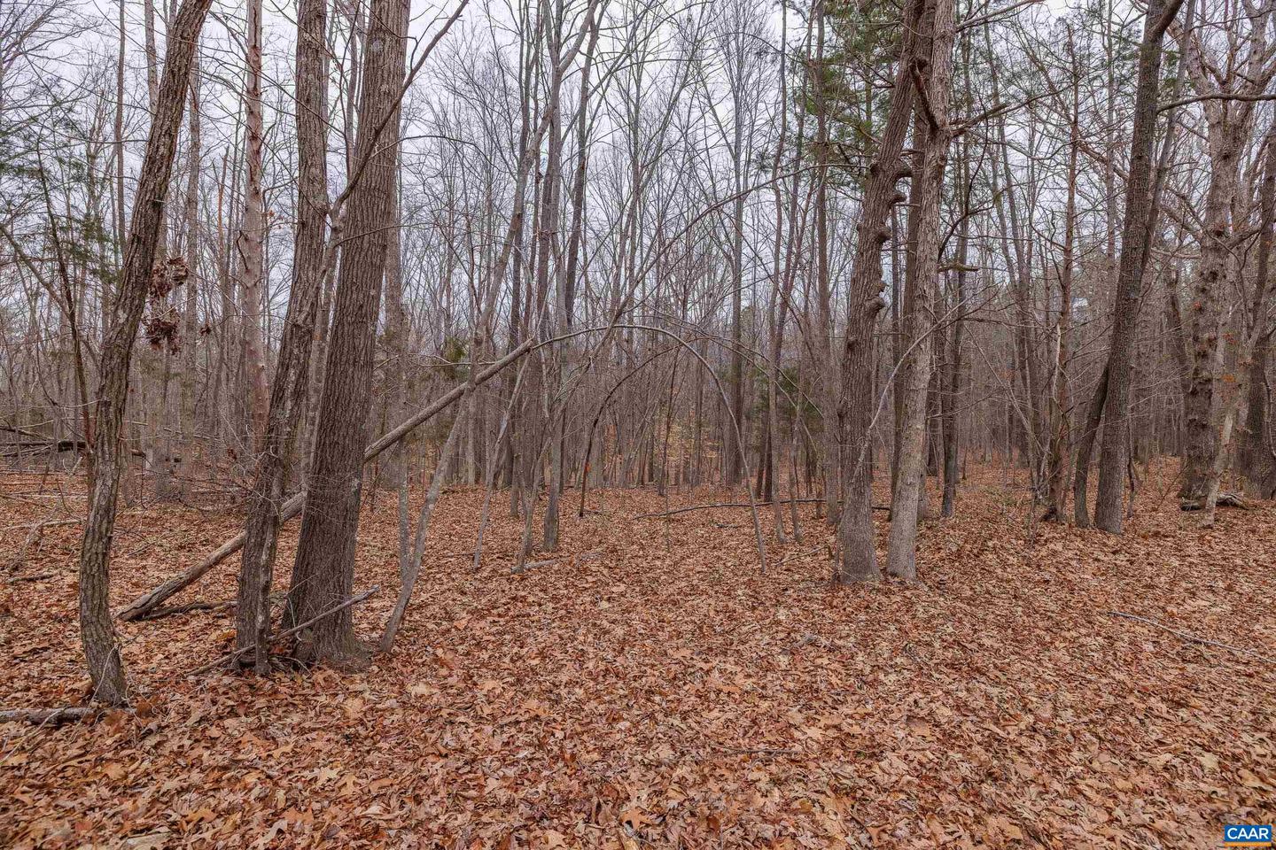 LOT 3 PINEY GREEN RD, CREWE, Virginia 23930, ,Land,For sale,LOT 3 PINEY GREEN RD,672946 MLS # 672946
