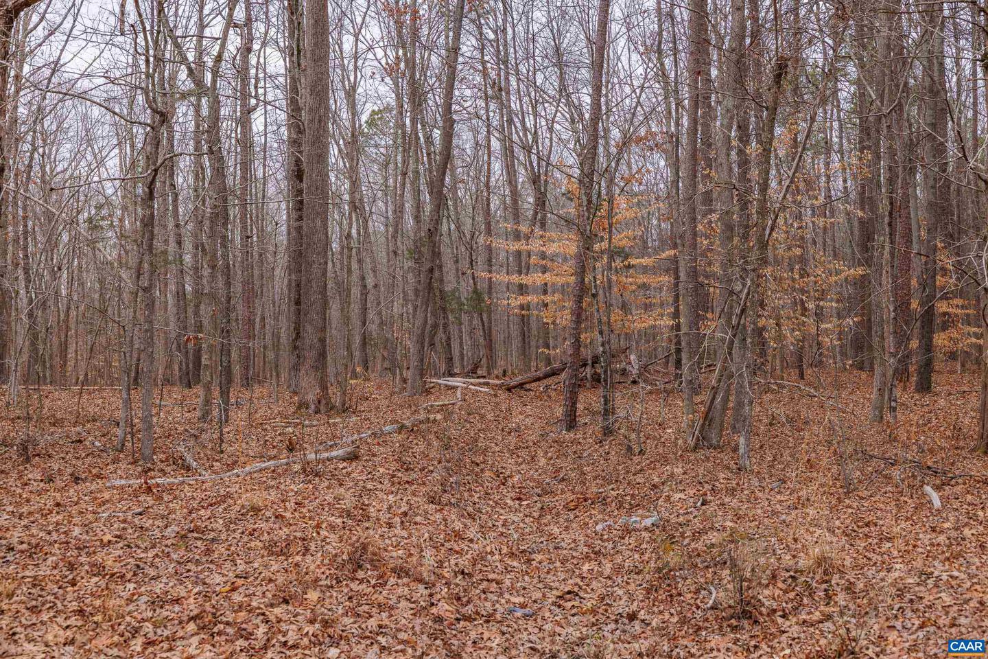 LOT 3 PINEY GREEN RD, CREWE, Virginia 23930, ,Land,For sale,LOT 3 PINEY GREEN RD,672946 MLS # 672946