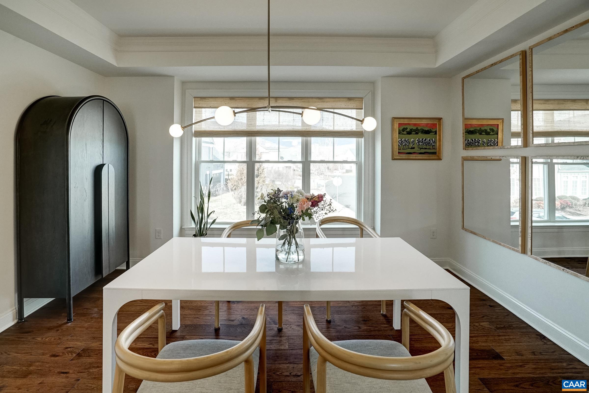 New modern chandelier in dining room!