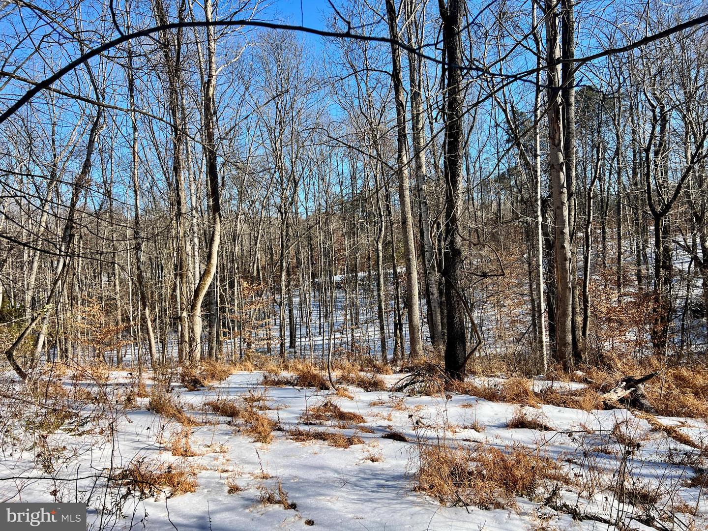 00 MT ZION CHURCH RD, MADISON, Virginia 22727, ,Land,For sale,00 MT ZION CHURCH RD,VAMA2002602 MLS # VAMA2002602