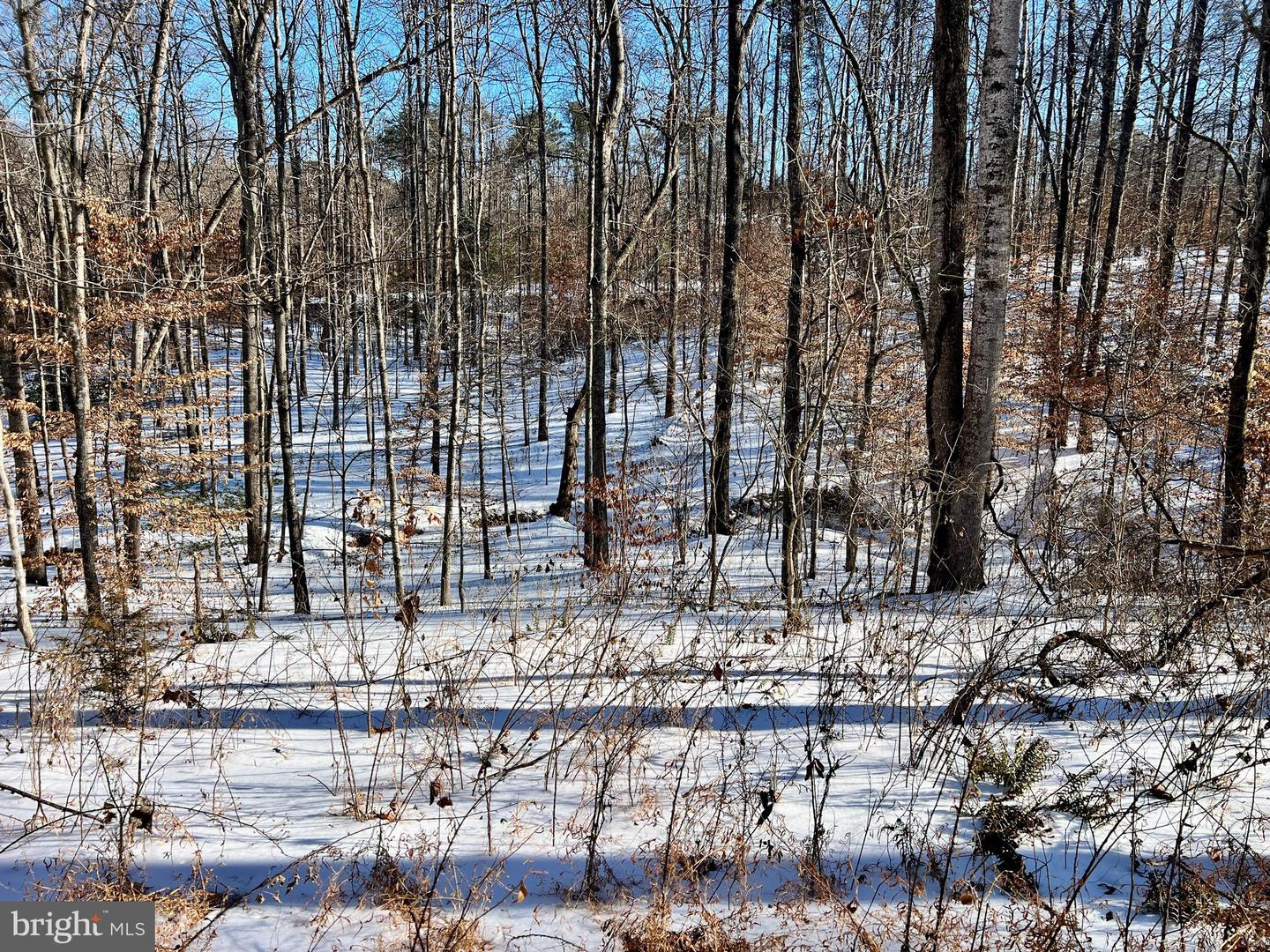 00 MT ZION CHURCH RD, MADISON, Virginia 22727, ,Land,For sale,00 MT ZION CHURCH RD,VAMA2002602 MLS # VAMA2002602