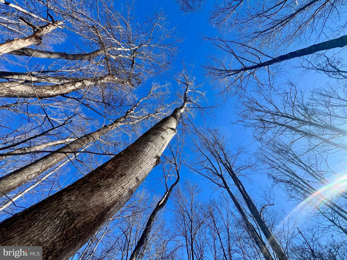 00 MT ZION CHURCH RD, MADISON, Virginia 22727, ,Land,For sale,00 MT ZION CHURCH RD,VAMA2002602 MLS # VAMA2002602