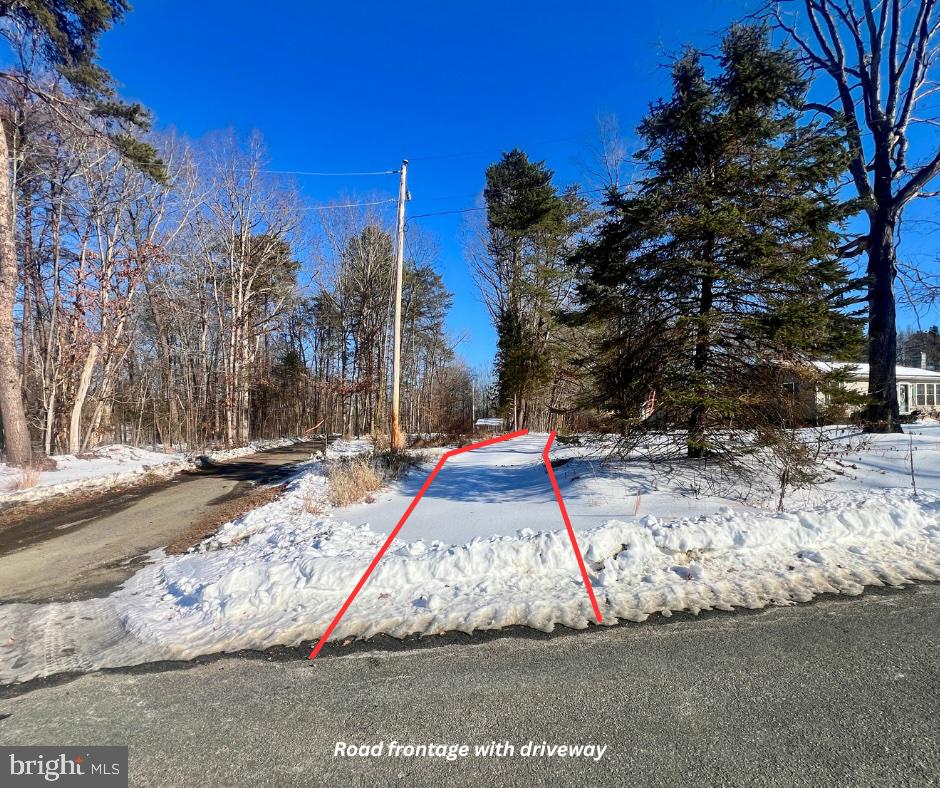 00 MT ZION CHURCH RD, MADISON, Virginia 22727, ,Land,For sale,00 MT ZION CHURCH RD,VAMA2002602 MLS # VAMA2002602