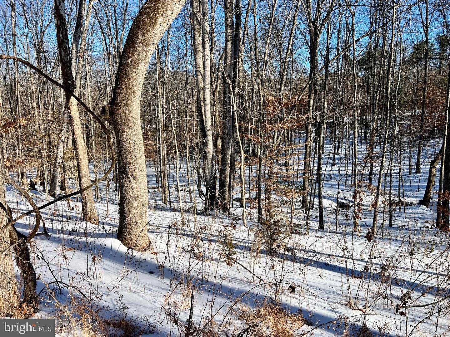 00 MT ZION CHURCH RD, MADISON, Virginia 22727, ,Land,For sale,00 MT ZION CHURCH RD,VAMA2002602 MLS # VAMA2002602