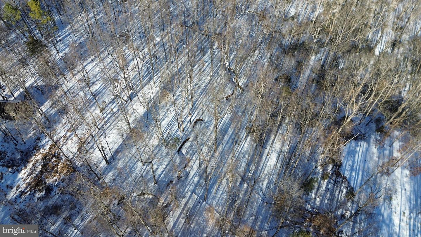 00 MT ZION CHURCH RD, MADISON, Virginia 22727, ,Land,For sale,00 MT ZION CHURCH RD,VAMA2002602 MLS # VAMA2002602