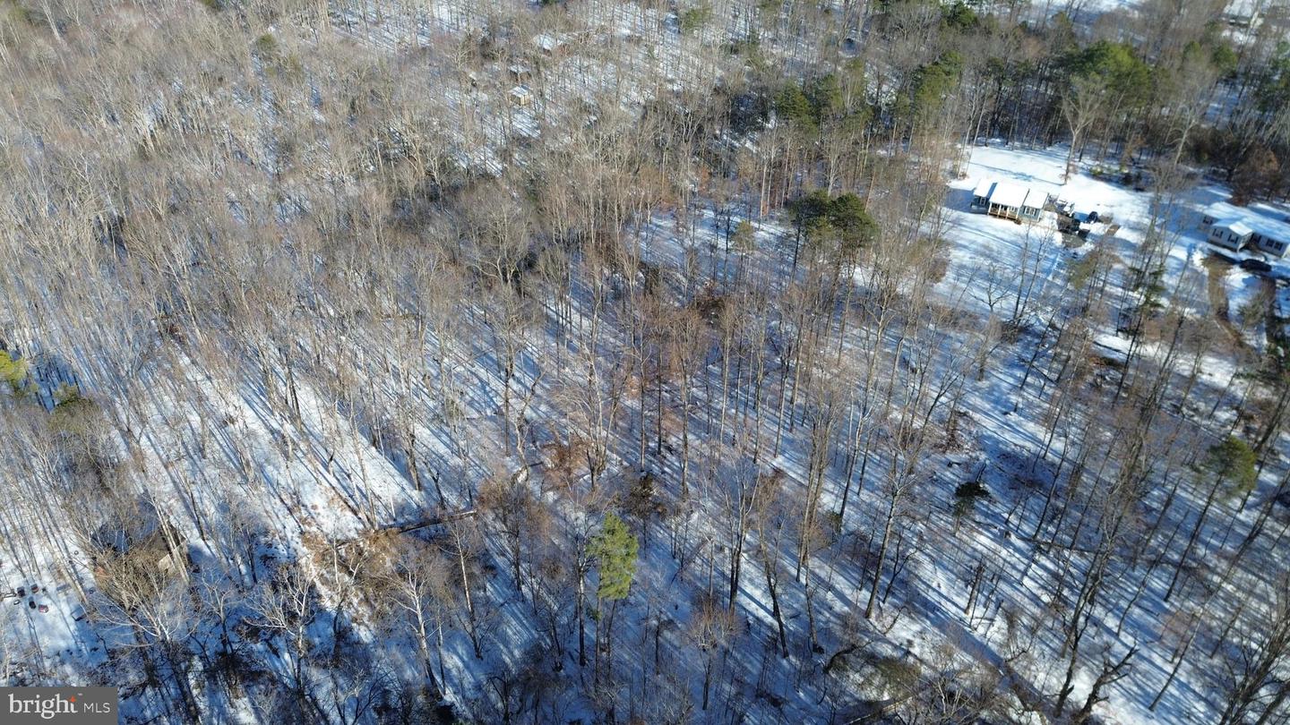 00 MT ZION CHURCH RD, MADISON, Virginia 22727, ,Land,For sale,00 MT ZION CHURCH RD,VAMA2002602 MLS # VAMA2002602