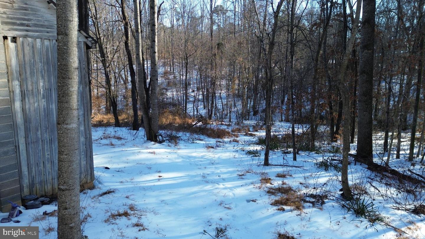 00 MT ZION CHURCH RD, MADISON, Virginia 22727, ,Land,For sale,00 MT ZION CHURCH RD,VAMA2002602 MLS # VAMA2002602