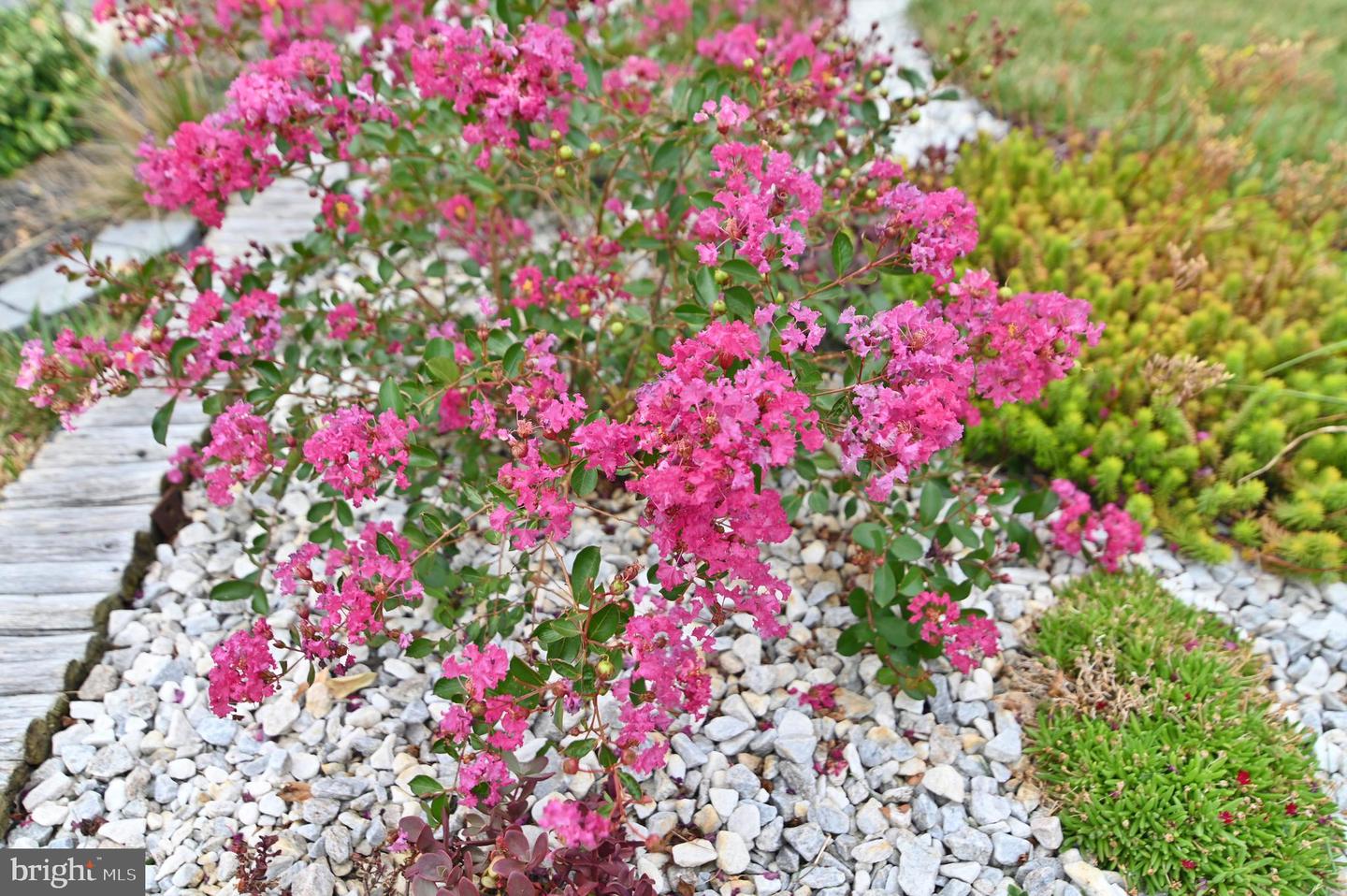 105 KELLER CT, WINCHESTER, Virginia 22602, 4 Bedrooms Bedrooms, ,3 BathroomsBathrooms,Residential,For sale,105 KELLER CT,VAFV2033426 MLS # VAFV2033426