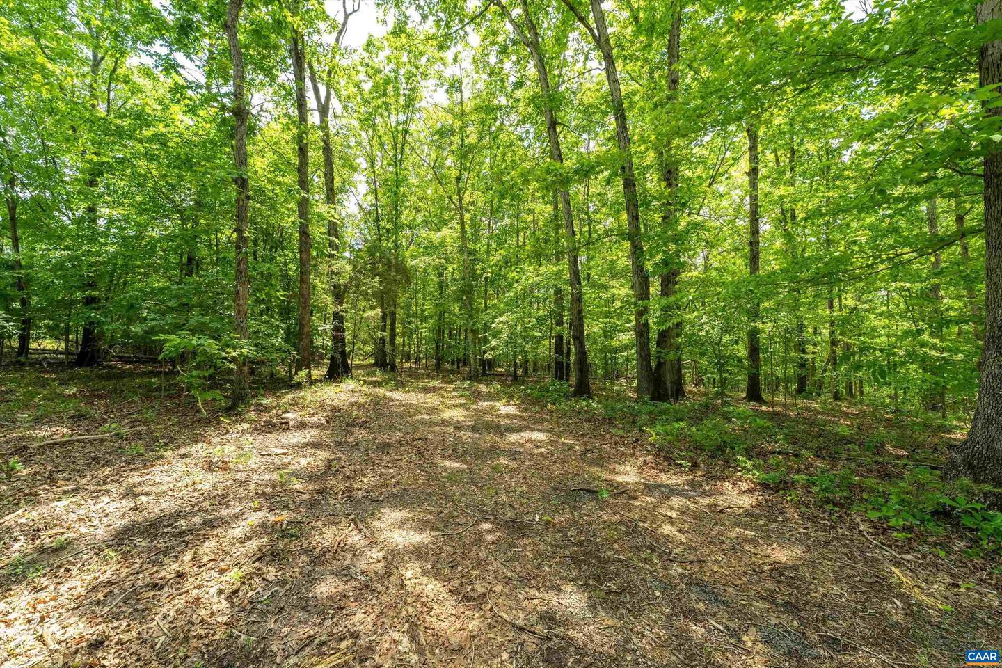 1309 SALEM RD #1, SCHUYLER, Virginia 22969, ,Land,For sale,1309 SALEM RD #1,669597 MLS # 669597