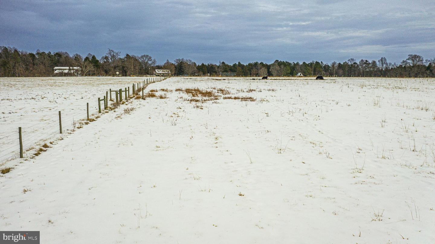 TBD BIBB STORE RD, LOUISA, Virginia 23093, ,Land,For sale,TBD BIBB STORE RD,VALA2009246 MLS # VALA2009246