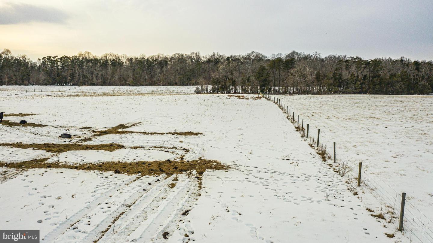 TBD BIBB STORE RD, LOUISA, Virginia 23093, ,Land,For sale,TBD BIBB STORE RD,VALA2009246 MLS # VALA2009246
