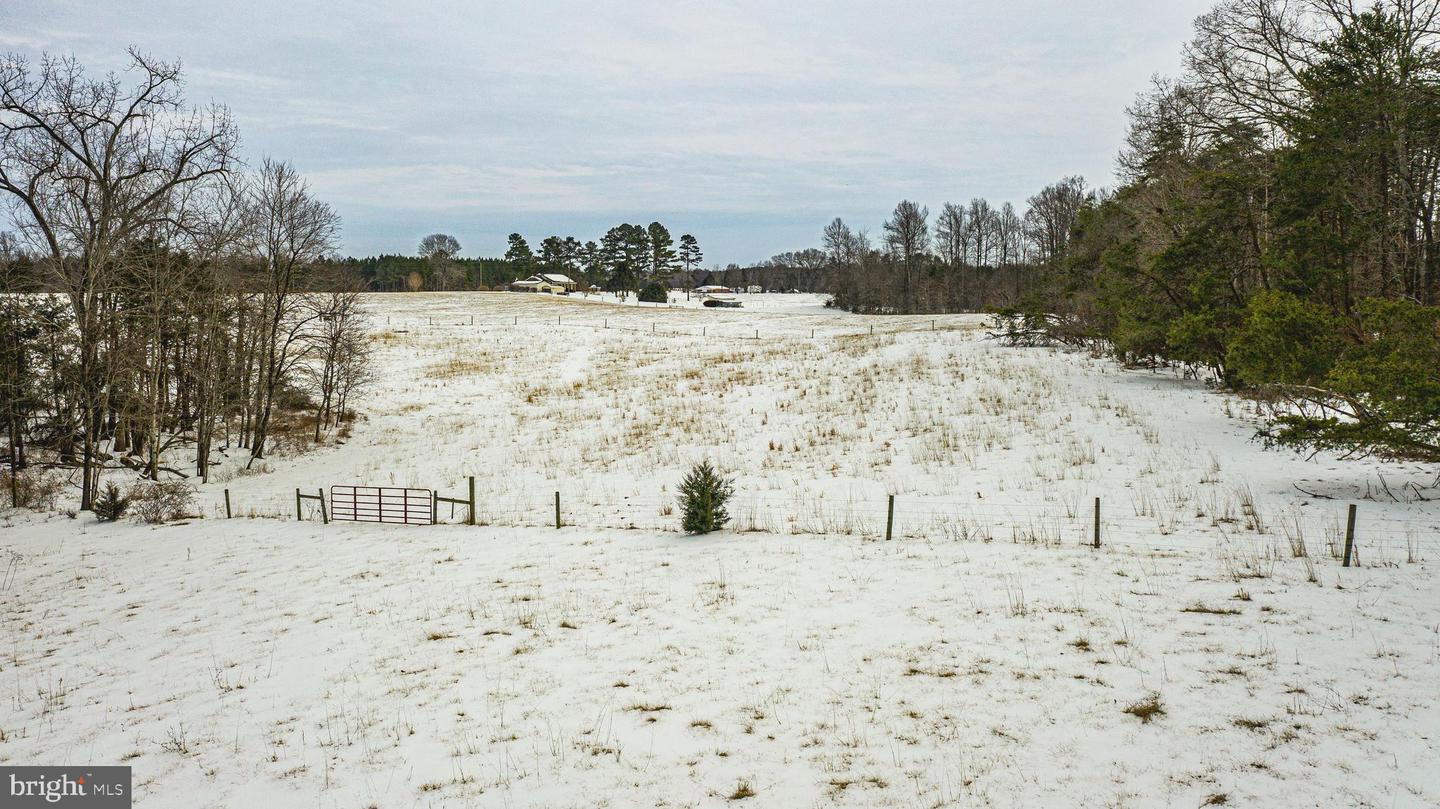 TBD BIBB STORE RD, LOUISA, Virginia 23093, ,Land,For sale,TBD BIBB STORE RD,VALA2009246 MLS # VALA2009246