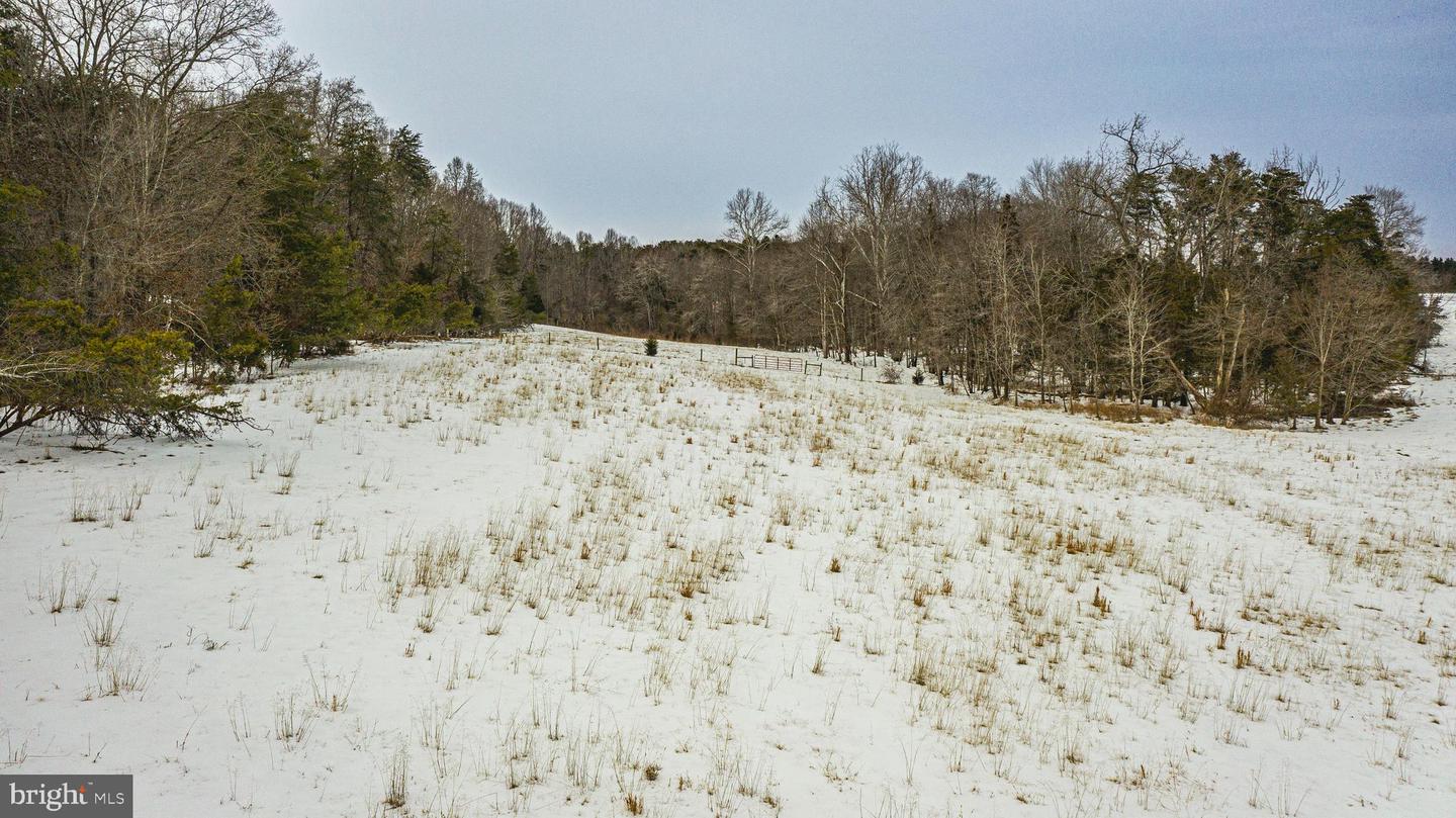 TBD BIBB STORE RD, LOUISA, Virginia 23093, ,Land,For sale,TBD BIBB STORE RD,VALA2009246 MLS # VALA2009246