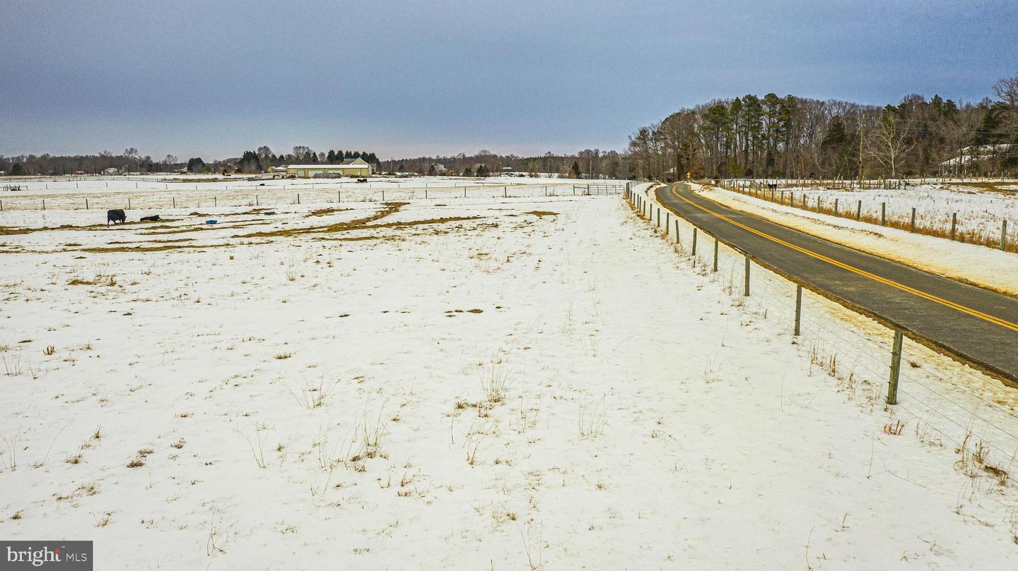 TBD BIBB STORE RD, LOUISA, Virginia 23093, ,Land,For sale,TBD BIBB STORE RD,VALA2009246 MLS # VALA2009246