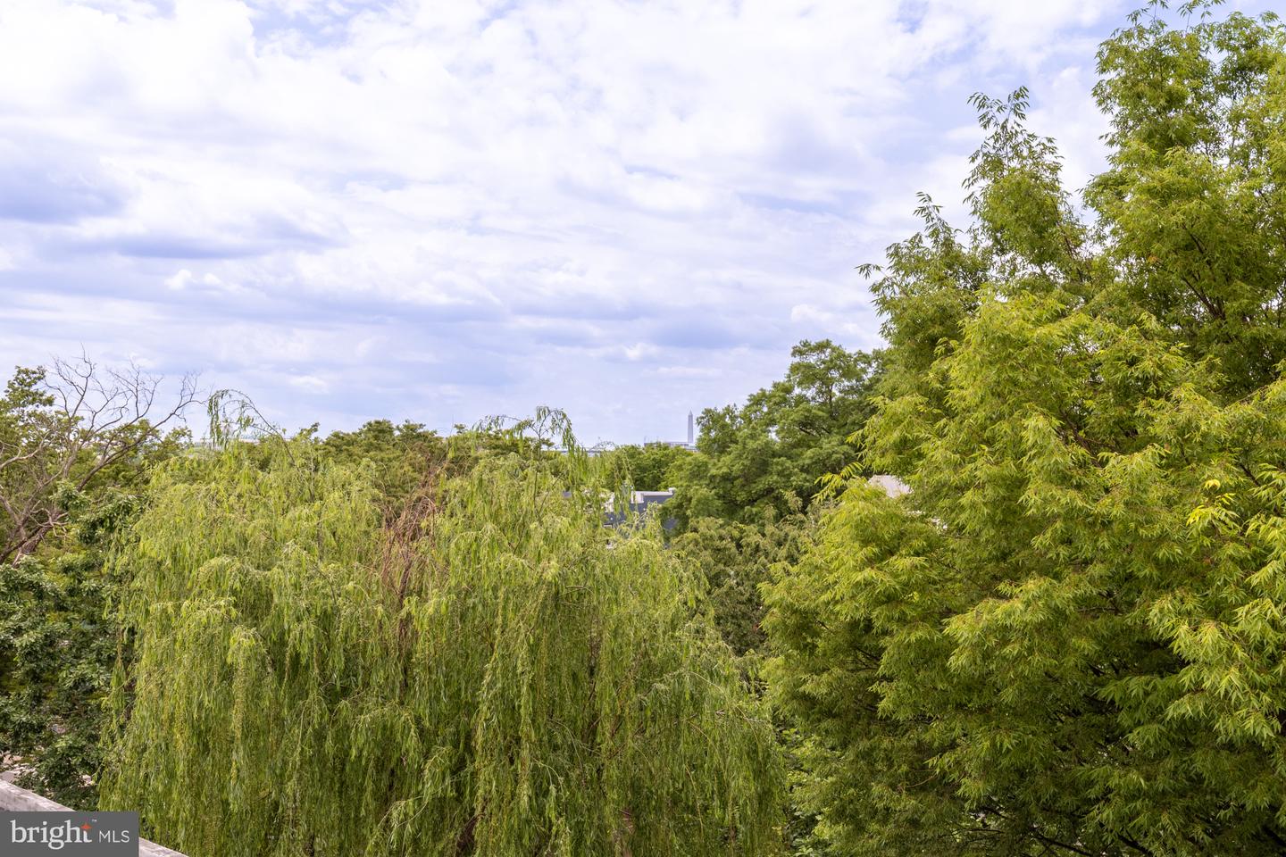 1325 ORREN ST NE #D, WASHINGTON, District Of Columbia 20002, 3 Bedrooms Bedrooms, ,3 BathroomsBathrooms,Residential,For sale,1325 ORREN ST NE #D,DCDC2228892 MLS # DCDC2228892