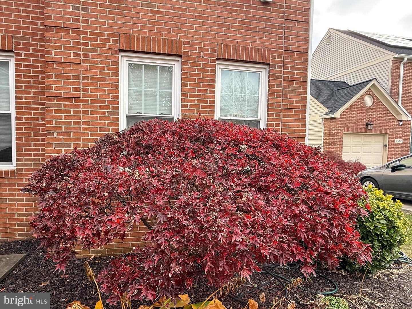 2502 18TH ST NE, WASHINGTON, District Of Columbia 20018, 3 Bedrooms Bedrooms, ,3 BathroomsBathrooms,Residential,For sale,2502 18TH ST NE,DCDC2235122 MLS # DCDC2235122