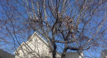 14310 BAKERWOOD PL, HAYMARKET, Virginia 20169, 4 Bedrooms Bedrooms, ,3 BathroomsBathrooms,Residential,For sale,14310 BAKERWOOD PL,VAPW2109596 MLS # VAPW2109596