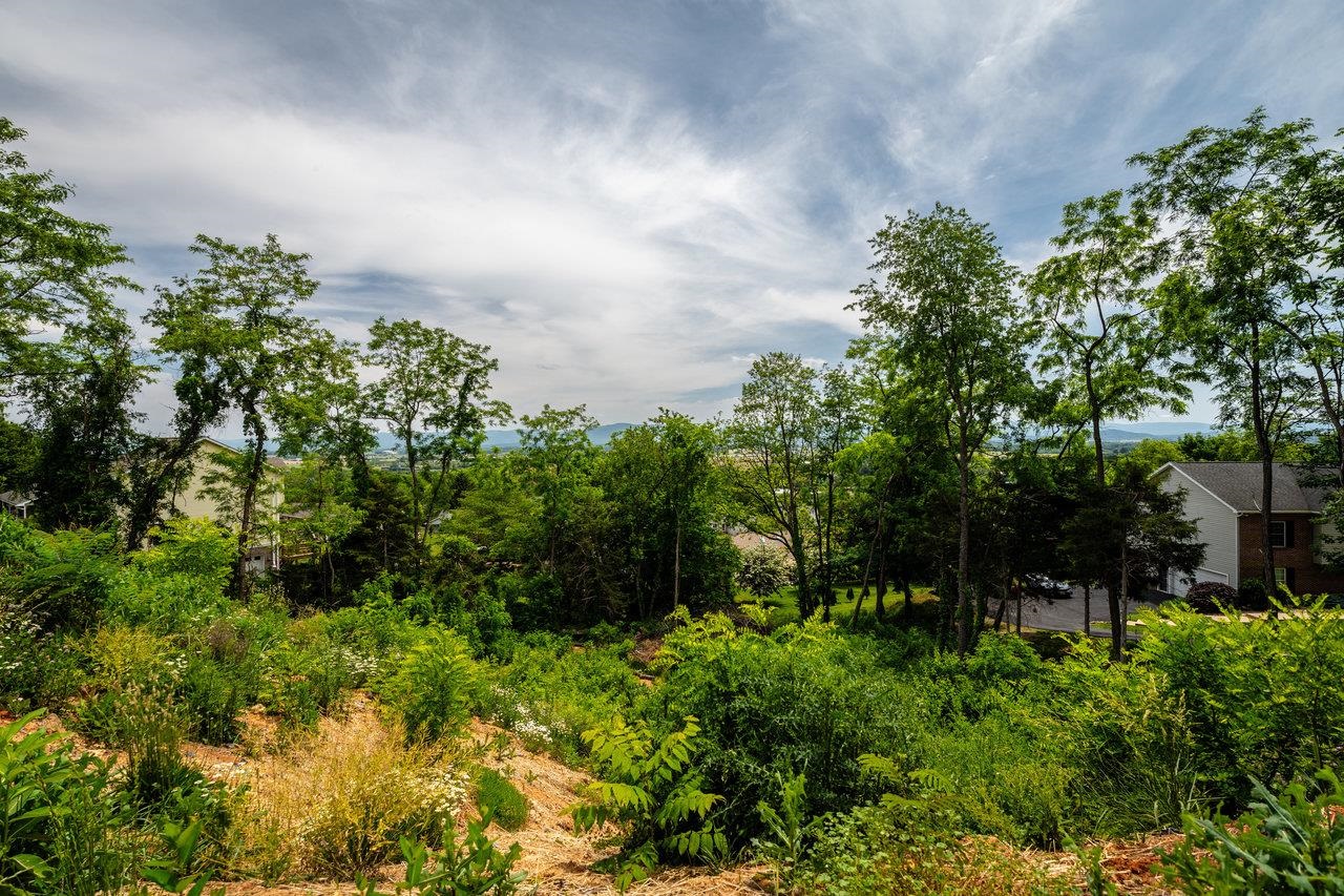 VALLEY VIEW DR, MOUNT SIDNEY, Virginia 24467, ,Land,VALLEY VIEW DR,673007 MLS # 673007