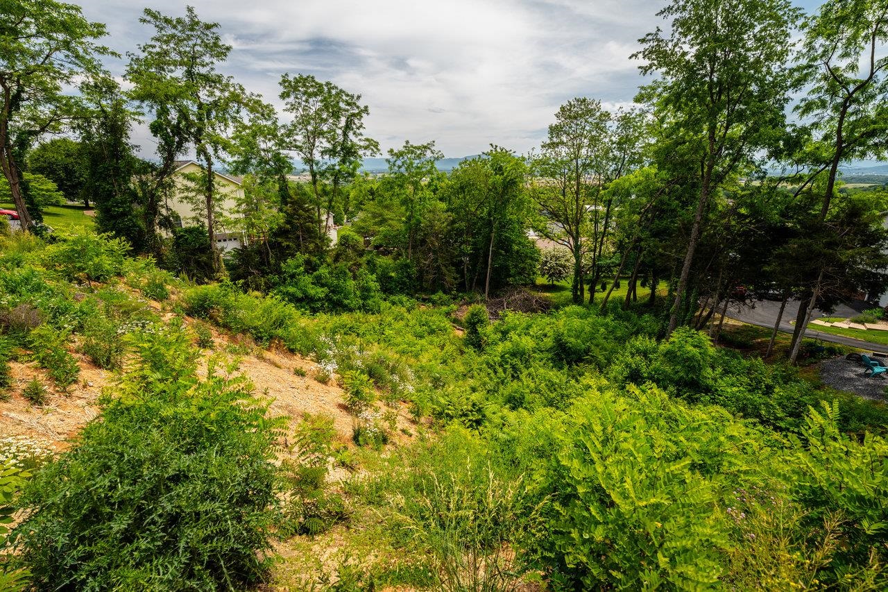 VALLEY VIEW DR, MOUNT SIDNEY, Virginia 24467, ,Land,VALLEY VIEW DR,673007 MLS # 673007